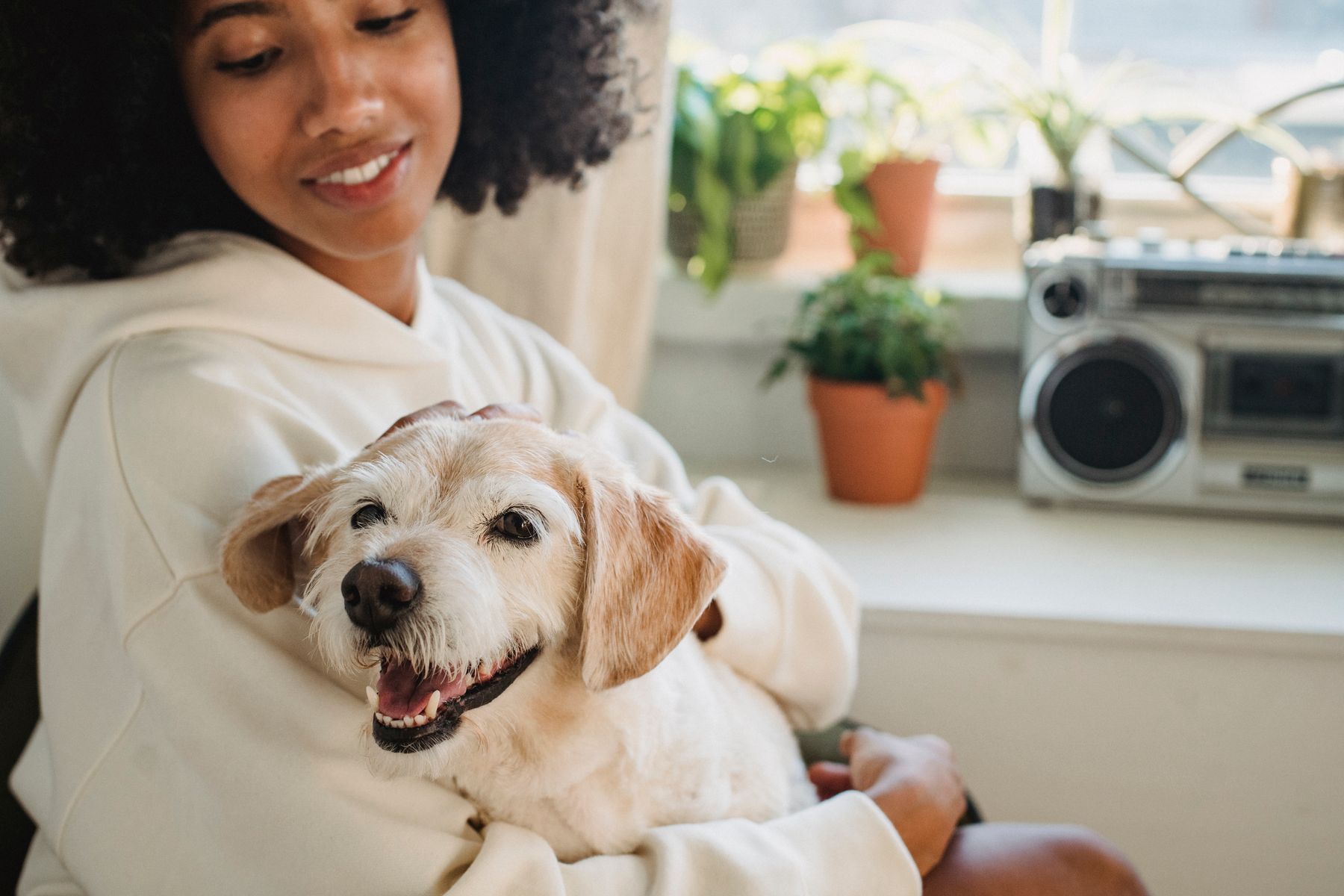 Cachorro junto da tutora, imagem ilustrativa